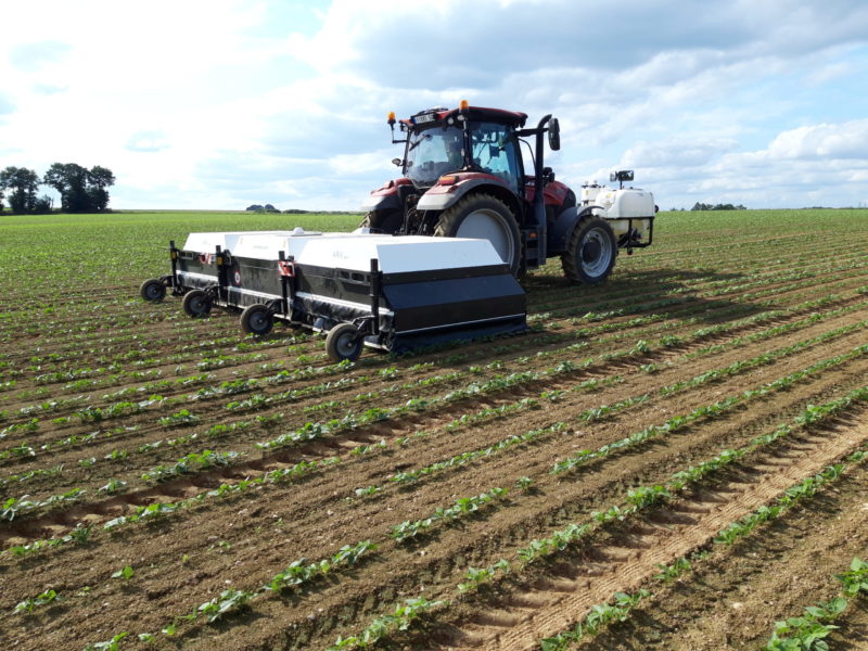 ARA dans les haricots chez Eureden