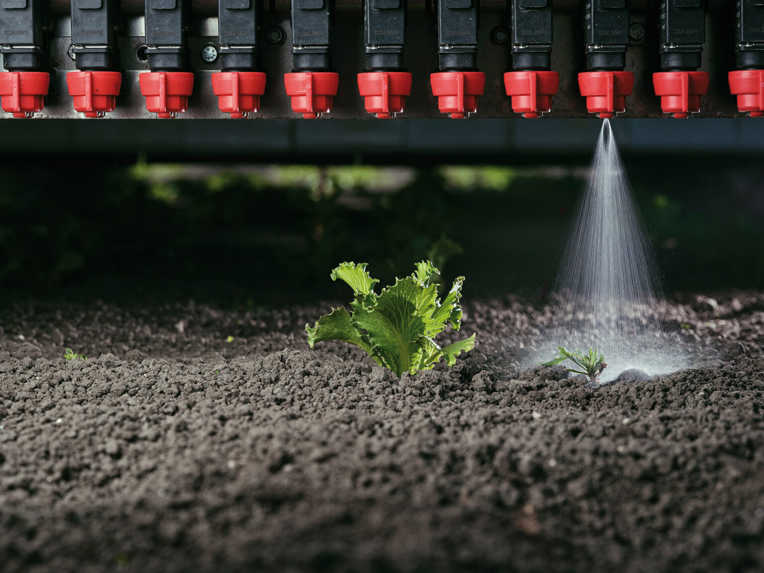 Crop Care | AI-Powered Precision Farming Solutions | Ecorobotix
